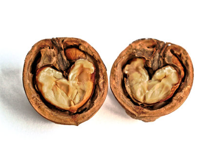 Closeup of two walnut halves with heart shaped cores on a white backgroundの写真素材