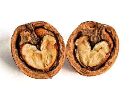 Closeup of two walnut halves with heart shaped cores on a white backgroundの写真素材