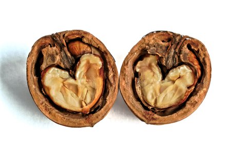 Closeup of two walnut halves with heart shaped cores on a white backgroundの写真素材