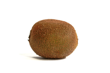 Closeup of a kiwi on a a white backgroundの写真素材