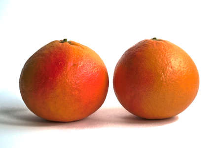 Two red grapefruits on a white backgroundの写真素材