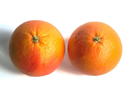 Closeup of two red grapefruits on a white backgroundの写真素材