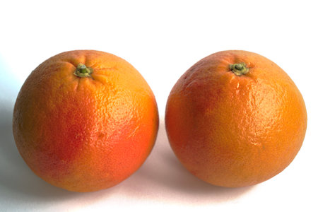 Closeup of two red grapefruits on a white backgroundの写真素材