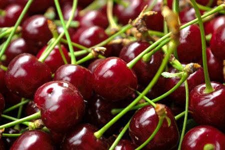 Closeup of cherries for background/textureの写真素材