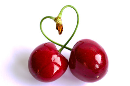 Closeup of cherries with a heart shaped stem on a white backgroundの写真素材