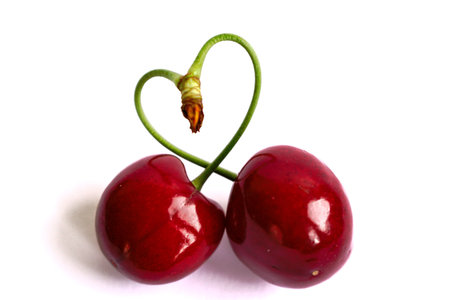 Closeup of cherries with a heart shaped stem on a white backgroundの写真素材