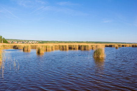 Beach In Mrbisch At Lake Neusiedl