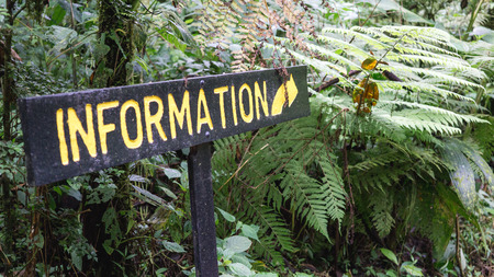 Information sign in the tropical jungleの写真素材