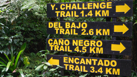 Jungle Trails in Costa Rica Monte Verde Cloud Forrest