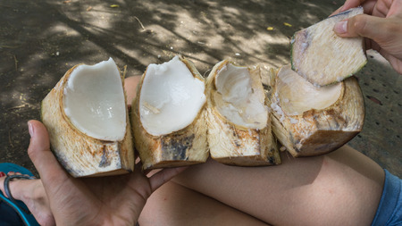 Tasty Coconut opend - ready to eatの写真素材