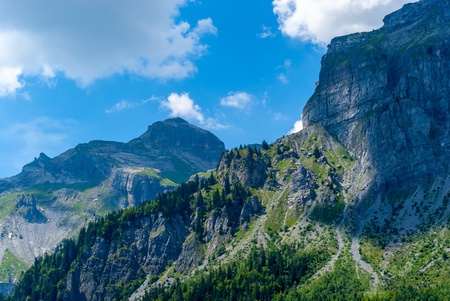 Plain Joux, France: Mountains covered with pine trees under a blue sky with white clouds.の写真素材