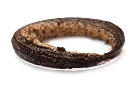 Eel smoked fish isolated on whiteの写真素材