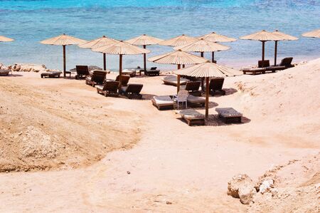 Beach in Egypt - tropical paradiseの写真素材