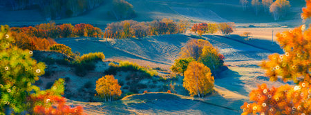 natural scenery in Bashang, Hebei Provinceの写真素材