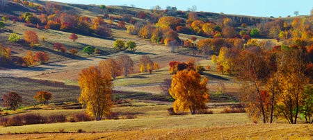 natural scenery in Bashang, Hebei Province