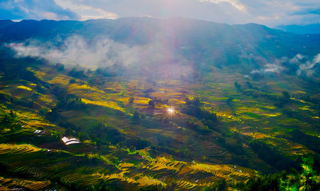 Aerial view of rice terraces in Mu Cang Chai, YenBai, Vietnamの写真素材