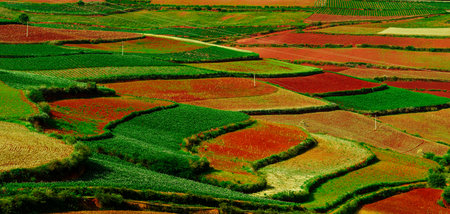 The photo was taken in Dongchuan, Yunnan. The land here is red. If it rains at night, the red land will be particularly bright the next day.の写真素材