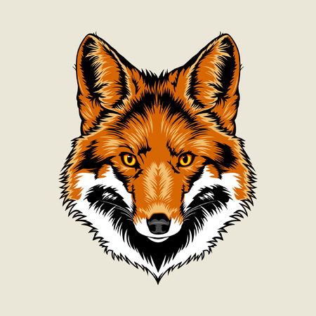 Red Fox Headのイラスト素材