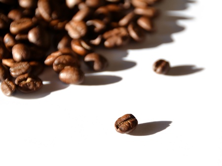 coffee beans scattered on a white backgroundの写真素材