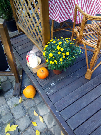 Pumpkin and yellow flowers on the doorstep an open cafeの写真素材