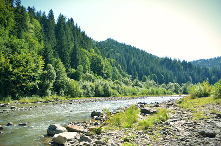 Extensive view of the mountain river and high mountains with treesの写真素材