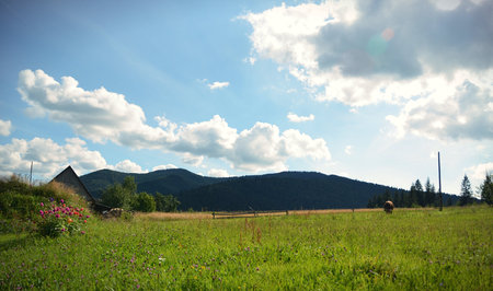 Against the background of mountains and blue sky with clouds cow grazes on the field and can be seen a small houseの写真素材