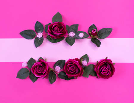 purple roses on a pink background, greeting card, creative concept for Valentine's Day and Mother's...