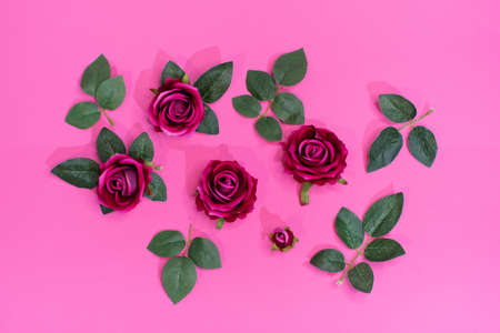 pattern of purple roses on a pink background
