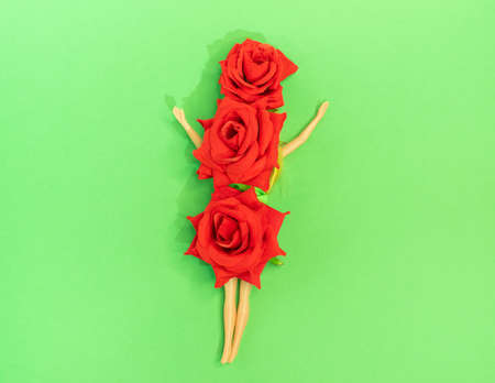 beautiful roses on a green background, a creative concept for Valentine's Day or Mother's Dayの写真素材