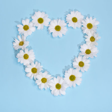beautiful heart-shaped daisies, empty space for messages, a concept for Valentine's Dayの写真素材