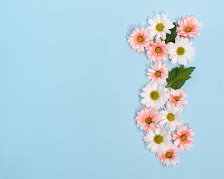 daisy on a blue background, a concert for Valentine's Day, an empty message spaceの写真素材