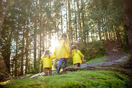 Mom and children went out into the woods for mushrooms. All in yellow jackets. Ukraine, the Carpathians. September 25, 2018.のeditorial素材