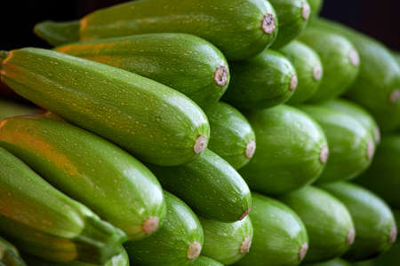 Fresh cropped green Zucchini. Offer in the vegetable market. summer squash. Close-up of a showcase of young zucchini in the store.の写真素材