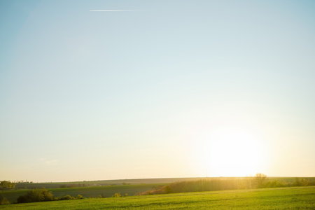 Warm golden sunlight illuminates the green field of wheat. Morning freshness concept. Natural background.の写真素材