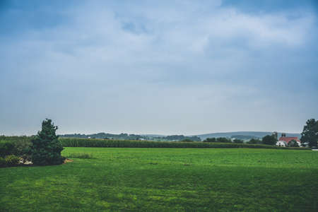 Meadow, field with houses in the background. Rural sceneryの写真素材