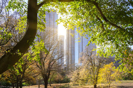 New York City, NY - November 15 2020: falling yellow leaves at public park in autumn season. Fall in the park with skyscrapers in the backgroundのeditorial素材