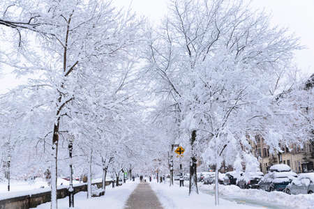 Brooklyn, NY - February 7 2021: Winter scene with snow covered cars parked along streets in Brooklyn, NY. Brownstones in winter seasonのeditorial素材