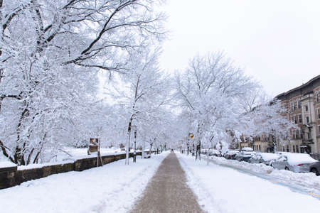 Brooklyn, NY - February 7 2021: Winter scene with snow covered cars parked along streets in Brooklyn, NY. Brownstones in winter seasonのeditorial素材