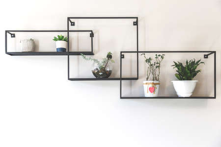 Three decorative metal rectangular and square shape shelves. Plants on the wallの写真素材
