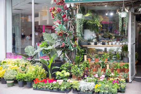New York City - April 18 2021: Small local flower store with many plants and flowers creating outside displayのeditorial素材