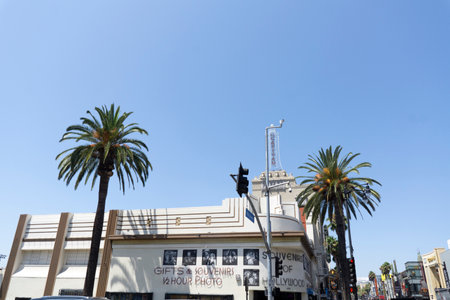 Hollywood, USA - August 10 2021: Street with buildings and palm trees in Hollywood on a sunny dayのeditorial素材