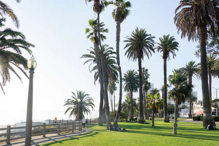 Santa Monica, USA - 10 August 2021: Santa Monica near Venice Beach with lawn and palm trees