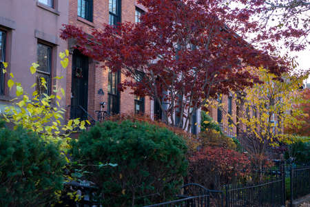 Autumn with various colors of trees on the yards of brownstones in the neighborhood of Brooklyn, NY. Beautiful fall with leaves turning red and yellowの写真素材