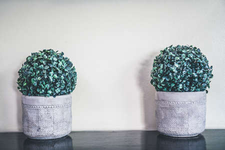 Two green fake plants in the gray planters on the wooden shelf against white wall. Decoration of artificial plants.の写真素材