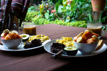 breakfast on a table outside in a garden with blurry background. Eggs, beans avocado and fruit saladの写真素材