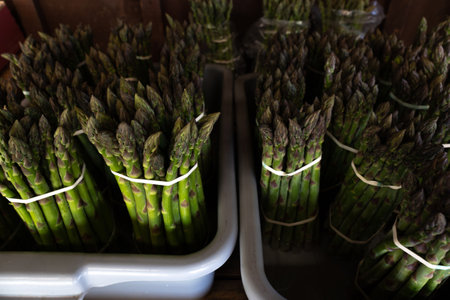 Close up of bunches of raw wild asparagus, tied with rubber band. Selling green vegetable on farmers marketの写真素材
