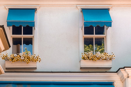 Two windows of a building with blue awnings and boxes of yellow sunflowers on a sunny dayの写真素材