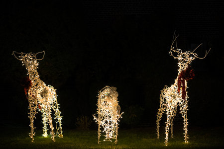 Christmas decorations glowing outside at night in front of a house. Christmas lightsの写真素材