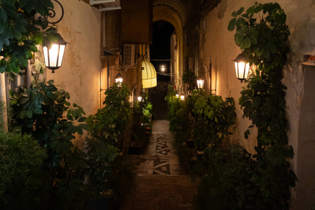 View of an alley with steps down and wall with lanterns illuminating sidewalk at nightの写真素材