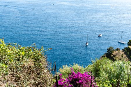 Cinque Terre National Park in Italy. Hiking among tree covered hills on Italian coastの写真素材